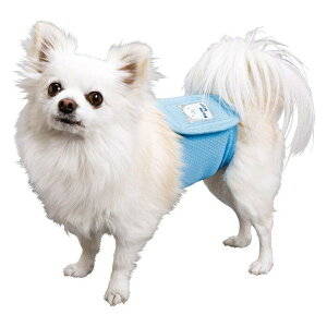 MǑ΍y||[Xz₦Ђ}i[xgPOMP BEAR 1 ^p