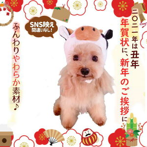 xԂX g[[y4Lz[3173]  ^ NN qN N EV  Xqybg  L2021 蕨 