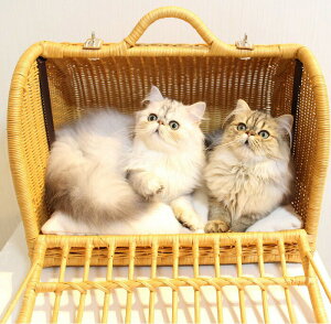 L ^ L[ VVAWpyN4X^Cz ^L[}C MTCY 8kg܂ ^ ړ L V_[  a@ʂ