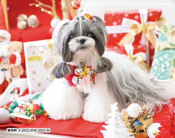 市場 クーポン配布中 きゃんナナ 猫 結ぶタイプ 犬 犬のチョーカー 犬のネックリボン Chrismas雪だるまチョーカー チョーカー クリスマス 市場 クーポン配布中 きゃんナナ 猫 結ぶタイプ 犬 犬のチョーカー 犬のネックリボン Chrismas雪だるまチョーカー チョーカー クリスマス