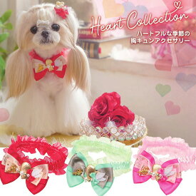 犬 チョーカー CanNana 【きゃんナナ】ハートシュシュアクセ SS-Lサイズ NNR448 アクセ heart　バレンタイン イベント