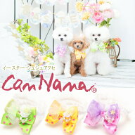 春 犬 CanNana 【きゃんナナ】 ドットパステルイースターシュシュアクセ SS-Lサイズ NNR450 イベント シ…