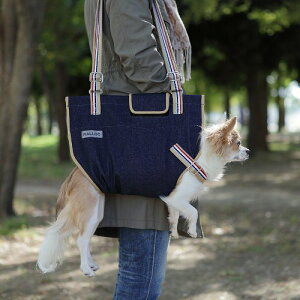 yJzSˎv`L[ ̏d:6kg܂ŉpi pi L[