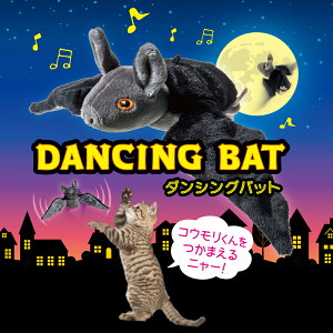 Ki 悠 LYƁ@_VOobg L@H΂@cattoy 