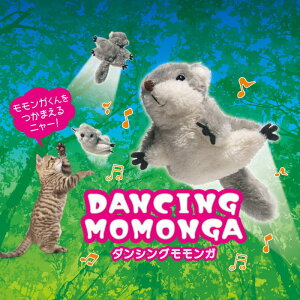 Ki 悠 LYƁ@_VOK L@H΂@cattoy 