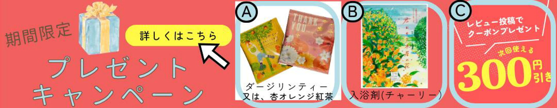 プレゼントキャンペーン