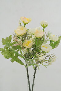 y A[gt[ tFCN p[c CeA G Mtgz~jt[ sbN