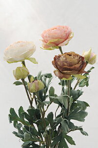 y A[gt[ tFCN iLX p[c CeA G MtgziLXL