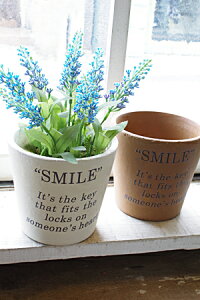 y |bg Aؔ   CeA G JtF Vbv AeB[N AeB[NzZeX|bgX}C