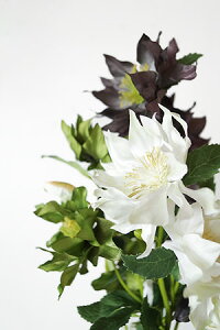 y A[gt[ tFCN o KN p[c CeA G MtgzOCbV@NX}X[Y