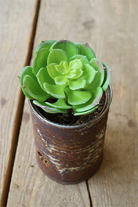 y tFCN O[  A[gt[ CeA G Mtgz `GVX