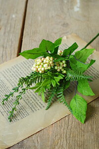 ytFCN O[  A[gt[ CeA G Mtgz~bNX[t sbN