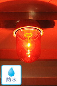 yC_XgA GNXeA Ɩ OƖ uPbgCg Ǖt V[OCg h dZbg LEDΉ AeB[N AeB[NzVbvvbh