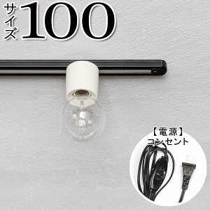 y_Ng[ Ɩ Vv  AeB[N AeB[Nz_Ng[100@RZg BK