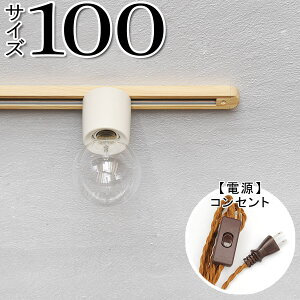 y_Ng[ Ɩ Vv CguE AeB[N AeB[Nz_Ng[100@RZg LBR