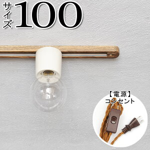 y_Ng[ Ɩ Vv _[NuE AeB[N AeB[Nz_Ng[100@RZg DBR