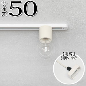 y_Ng[ Ɩ Vv   AeB[N AeB[Nz_Ng[50@|V[O WH