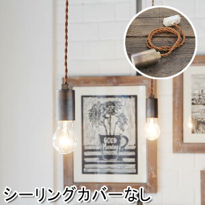 �y�y���_���g���C�g �y���_���g�Ɩ� �d���Z�b�g LED�Ή� �L�b�`�� �J�t�F �V���b�v �A���e�B�[�N�� �A���e�B�[�N���z�y���_���g���C�g�@�t�� E26�@�J�o�[�Ȃ�