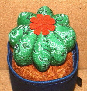 yR4Tz ySABOTEN T{ez AJ쐼 TEXEFXg X^C EFX^ o_in o_i yCY[ Eh ی^ JN^X ʂ h[ uMTCY S13cmv (