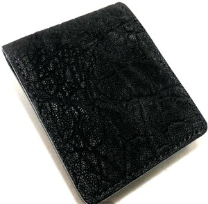 yDOLCE VITA h`FB[^z  Gt@g ۊv v X^_[h V[g EHbg (ubN)  rtH[h C^AU[ z ܂z v {v ]Ev Th