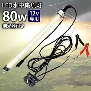 LED W LEDW Cg hނ  12Vp WCg 80w dF gF Cg DCg D ނ ledCg މ VXEiM VEI CJ AW ^`EI AICJ 
