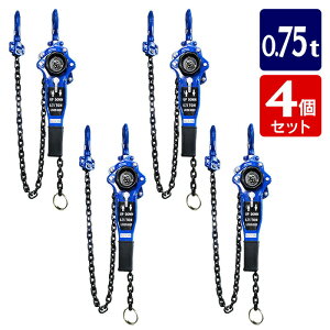 y4Zbgz蓮o[ubN o[zCXg 750kg o[ubN 0.75t1.5M zCXg Kb``F[ `F[[[ `F[ubN o[ubN ג@ Kb` 