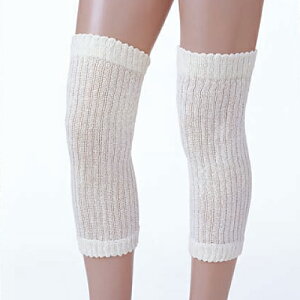 VNK ЂT|[^[ ij2gyt[TCYz{   ЂT|[^[ VN100@ނݑ΍@ێ@OJbg@Y@fB[X@GT|[^[@G