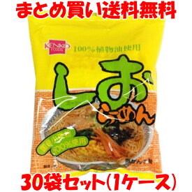 健康フーズ しおらーめん ラーメン らー麺 インスタント 97g×30袋(1ケース) まとめ買い送料無料