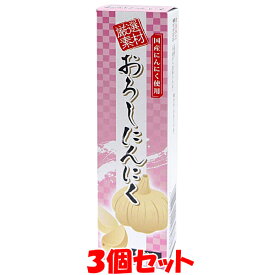 4月1日限定 エントリー&店内買いまわりでポイント最大20倍 !!　東京フード 厳選素材 おろしにんにく チューブ入り 40g×3個セット ゆうパケット送料無料 ※代引・包装不可