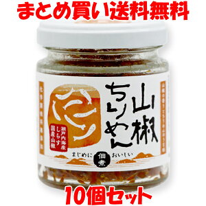 }V} R߂ ώ 񂵂傤 ߂ ɂ 45g×10Zbg ܂Ƃߔ