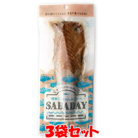 浜吉ヤ SABADAY 燻製サバ 鯖 サバ 1枚×3袋セット ゆうパケット送料無料(代引・包装不可)