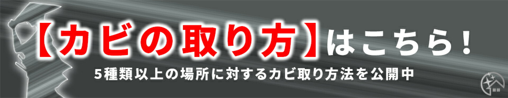 【詳しく】プロ並みのカビ取り方法