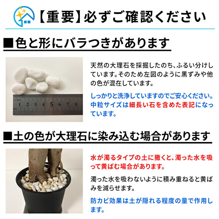 楽天市場】観葉植物の防カビ石 キープストーン 白玉砂利 中粒 400g 