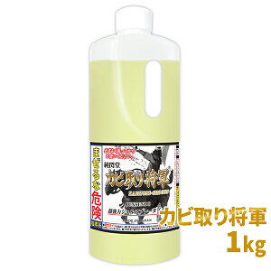 Jr Jr Jr菫R Sx^Cv 1kg /C̕ V Lb` ʑ r SpbL ^Cڒn̊łȍJr GۂĈLLƖpNX̖{iIȃJr