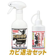 強力 カビ取り カビ退治セット /カビ取り将軍ジェルスプレー450gとカビ取り侍ジェルタイプ200gのセット/…