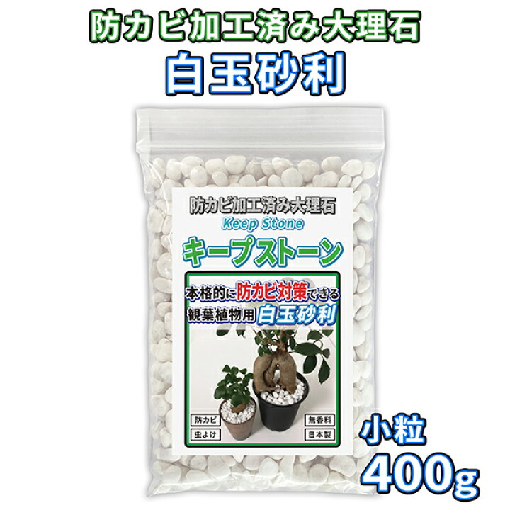 楽天市場 植物 観葉植物 白玉砂利 小粒 400g 防カビ加工済み大理石 キープストーン 防カビ加工した化粧石で土のカビ防止 植木鉢 プランターの カビ対策とカビ予防 部屋 室内 屋外の観葉植物を白カビからガードしてインテリアを維持 マルチング材や虫よけにも