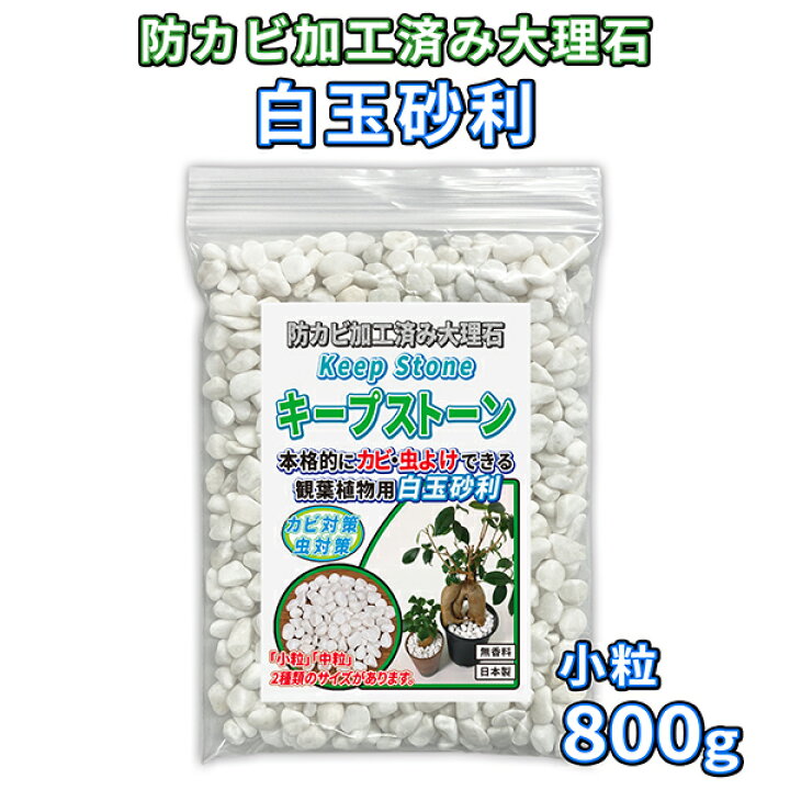 楽天市場 植物 観葉植物 白玉砂利 小粒 800g 防カビ加工済み大理石 キープストーン 防カビ加工した化粧石で土のカビ防止 植木鉢 プランターの カビ対策とカビ予防 部屋 室内 屋外の観葉植物を白カビからガードしてインテリアを維持 マルチング材や虫よけにも