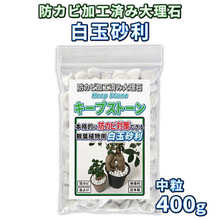 楽天市場 植物 観葉植物 カビ防止 防カビ加工済み大理石 キープストーン 白玉砂利 中粒 400g 防カビ剤を加工した化粧石で植物をカビから対策 します 室内 屋外の植木鉢の土のカビ予防に使える石 ホワイト K S400w 純閃堂楽天市場店