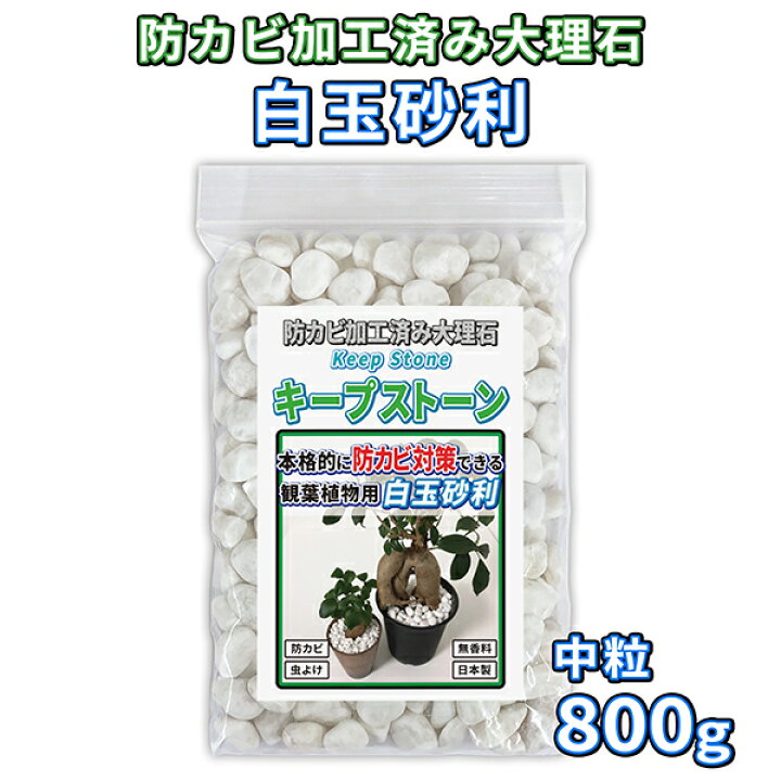 楽天市場 植物 観葉植物 白玉砂利 中粒 800g 防カビ加工済み大理石 キープストーン 防カビ加工した化粧石で土のカビ防止 植木鉢 プランターの カビ対策とカビ予防 部屋 室内 屋外の観葉植物を白カビからガードしてインテリアを維持 マルチング材や虫よけにも