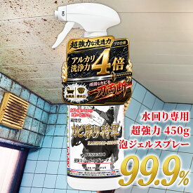 カビ カビ取り カビ取り将軍 泡ジェルスプレー 450g／超強力タイプのカビ取りジェルスプレーでお風呂 浴室の壁 床 天井 ゴムパッキン タイル目地 排水口 トラップの黒カビを包み込んで簡単に退治 除去 消臭する業務用クラスの掃除洗剤／プロ仕様のカビ取り剤／KG-J450