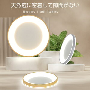 S̖ؖ ^  Q ʘH J[ V[OCg  Ch ho h R ɒ