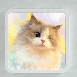  [{bNX k oX[  [I  ܂肽 ܂ h  H  d؂ yĎg₷ oX[ [ ʏ u