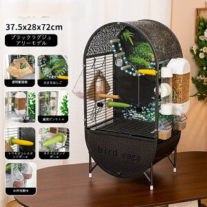 y^zVR؃obNplt IEECRP[W LXnEX^Cv DIYCAEg\ o[hP[W EA{EVCRizjAIJCRΉ