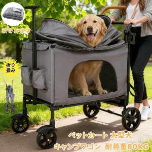 yubNtCf[2000~OFFN[|p10{zuω׏d80KGvybgJ[g^ ybgLsOJ[ ybgJ[g ybgp@\ ܂ p ^ybgJ[g ^ ȒP