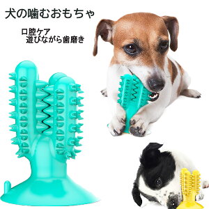 大型 犬 歯ブラシの人気商品 通販 価格比較 価格 Com 大型 犬 歯ブラシの人気商品 通販 価格比較 価格 Com