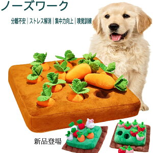 にんじん 犬用品の人気商品 通販 価格比較 価格 Com