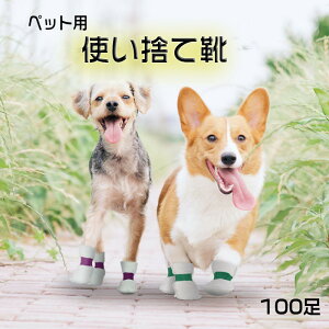 100 25 C ̌C ĝ ̃V[Y hbOu[c sDz _炩 pC C U ho h ybgC ی ی h~ ĝău[c ߉\ȃXgbv