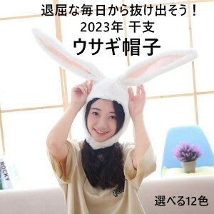 x  2023 ETM Xq  sN Ԃ ̔蕨