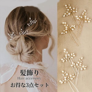  3_Zbg wAs 񂴂 p[   l Ǝ a m   U K⒅ FŊ|   Vo[ S[h wAANZT[ Ă΂ OB { 30 40 