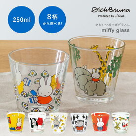 miffy ミッフィー グッズ 大人 プレゼント マグカップ 食器 コップ 割れない おしゃれ ガラス 子供 ガラスコップ グラス お祝い ギフト セット カップ 北欧 こぼれない 来客用 タンブラー キャラクター マグ みっふぃー ミッヒー こども